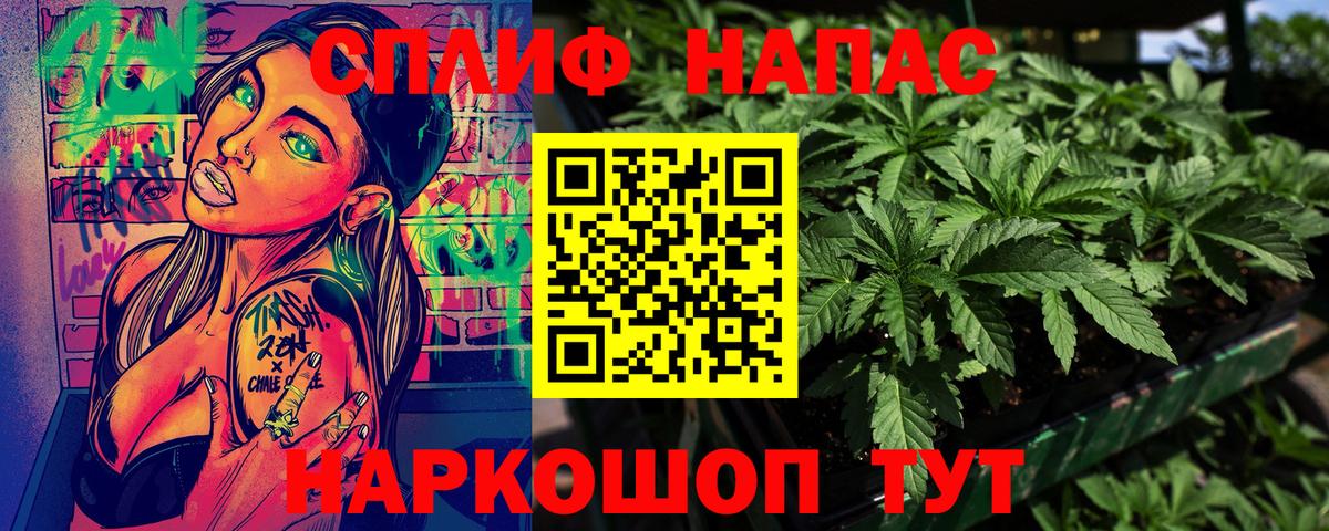 Бошки марихуана марихуана Тара